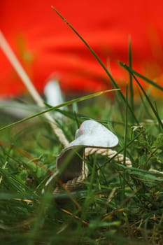 Close up of secure metal tent peg, attached to red camping shelter with rope, hammered into ground full of green grass. Equipment for stability keeping bright construction in static. Vertical.