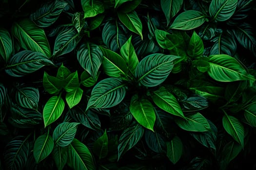 Tropical leaves, dark green foliage in rainforest, nature background. Tropical green leaves on dark background, nature summer forest plant concept. AI generated