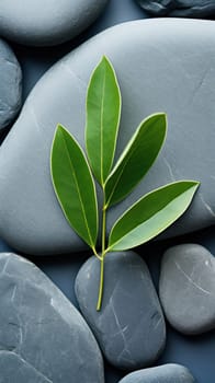 vertical background with green leaf on gray smooth stone. phone wallpaper .Generative AI