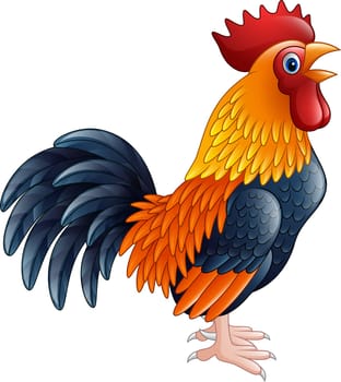 Cartoon rooster isolated on white background