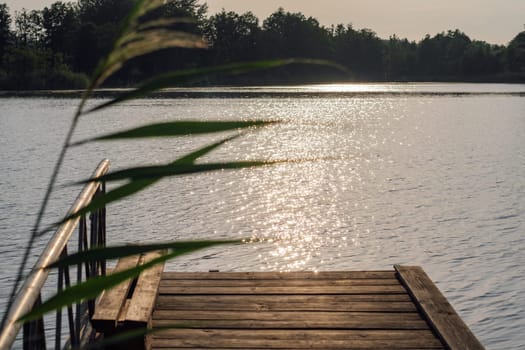 View of forest lake from wooden pier. Sunny sparkling path on water. Calm and serenity. Morning in village. Nature reserves. Environmental protection. View of lake. Vacation in country.
