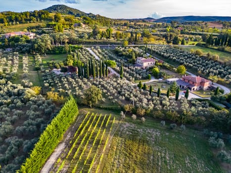 Landscape view of Montepulciano,Tuscany, Italy