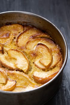 closeup of rustic apple cake in baking tin