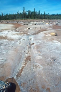 Salt Plains in the Remote North Woods in Wood Buffalo National Park in the Northwest Territories