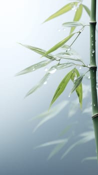 Lonely bamboo stalk with dew drops on a blurred foggy background .calm and peaceful. Generative AI