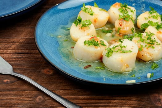 Roasted scallops with green, grilled sea scallops in creamy sauce. Wooden background.