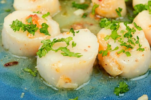 Roasted scallops with green, grilled sea scallops in creamy sauce. Wooden background.