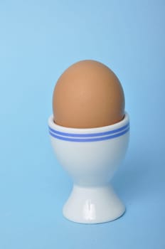 boiled egg on a blue background
