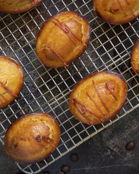 Pasticciotto leccese pastry filled with egg custard cream and sour cherry jam, on a cooling backing rack on a dark table, copy space, top view. Typical apulian breakfast
