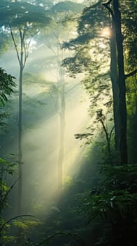 background Deep tropical thickets foggy fairy-tale dense forest.Generative AI