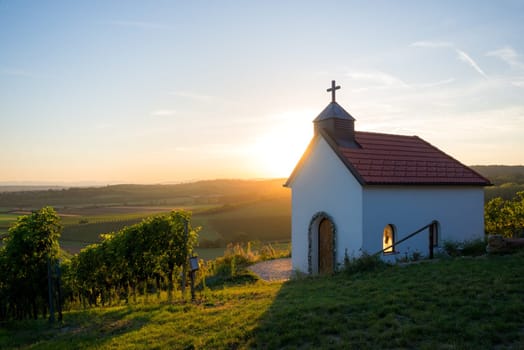 little church between vineyards