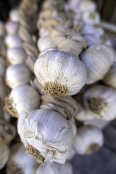 Detail of ingredient for cooking, healthy food