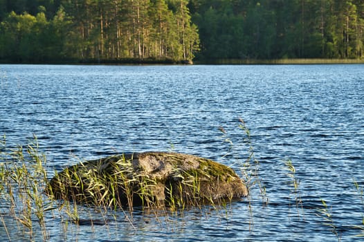View of a lake in Smaland in Sweden. Blue water with light waves and reeds. Blue sky with veil clouds. Summer in nature in Scandinavia. Landscape photo
