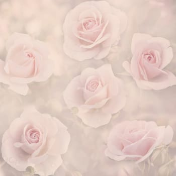 Beautiful pastel floral pattern background. Abstract pink rose bud in garden. Spring vintage wallpaper design.