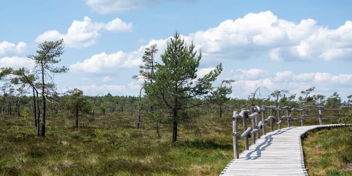 Black moor in the Rhoen, Bavaria, Germany, with a new moor  wooden path