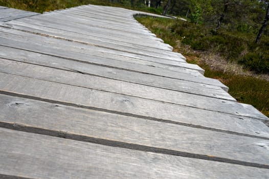 Black moor with a new wooden path in the Rhoen, Bavaria, Germany