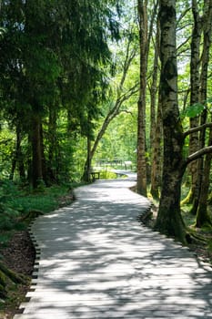 Black Moor in the Rhön, Bavaria, Germany, with a new wooden path