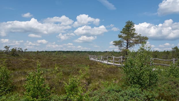 Black moor in the Rhoen, Bavaria, Germany, with a new moor path
