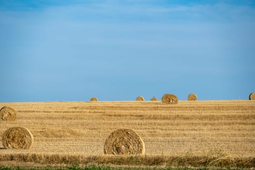 Straw bales on harvested field with horizon and blue sky