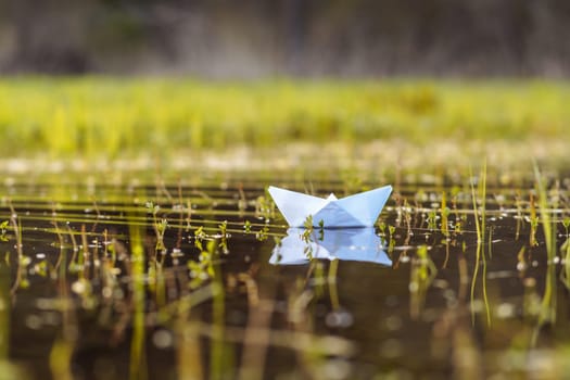 Picture capturing delicate, lonely paper boat made of white thin material floating on puddle after autumn rainy day with nobody around. Origami shape of ship creating tranquile atmosphere in nature.