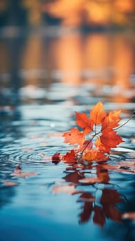 Bright colorful autumn leaves on the cold water surface of the lake on a blurred background.