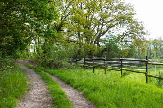 German countryside landscape, Lower Rhine Region, Germany