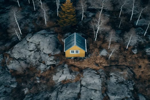 Aerial top view of small wooden cabin or hut in a wild nature. AI generated