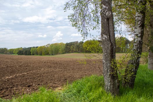 German countryside landscape, Lower Rhine Region, Germany