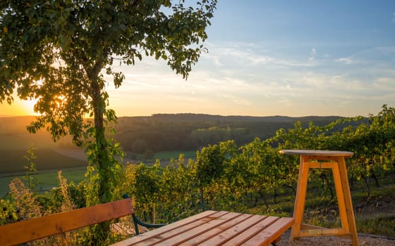Table top template against vineyard, advert concept