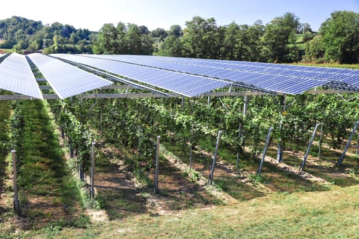 Translucent photovoltaic modules for roofing as hail and rain protection for healthy plants and power supply.