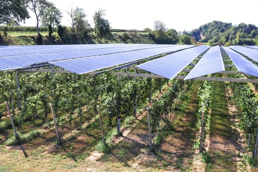 Translucent photovoltaic modules for roofing as hail and rain protection for healthy plants and power supply.