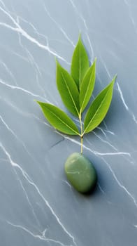 vertical background with green leaf on gray smooth stone. phone wallpaper