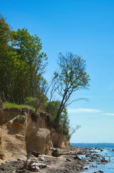 Island Poel on the steep coast to the Baltic Sea. Break-off edge with tree on the slope. Coastal landscape in summer. Vacation resort