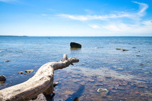 Island Poel on the Baltic Sea. Tree trunk protrudes into the Baltic Sea and casts a shadow. Stone in shallow water. Blue sky on horizon with light veil clouds. Vacation