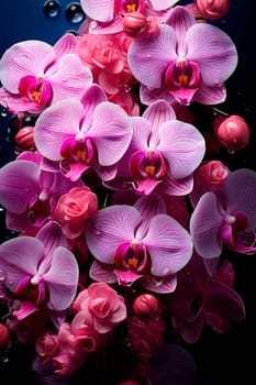 Lots of purple orchids. Floral background of tropical orchids. Close-up view. AI generated