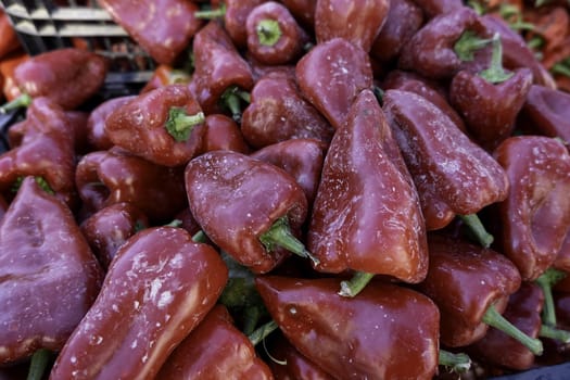 Detail of fresh and organic vegetables in an old market in Spain