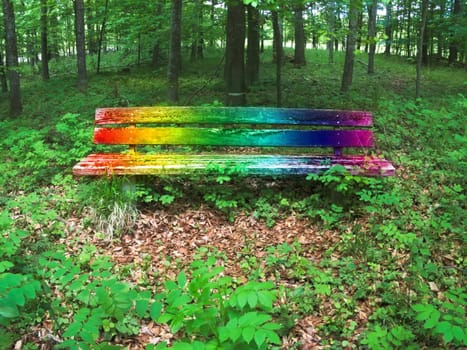 old park bench within a green forest with LGBTQ colors