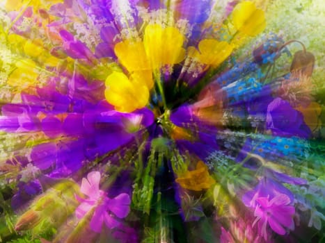 posy of flowers, center sharp