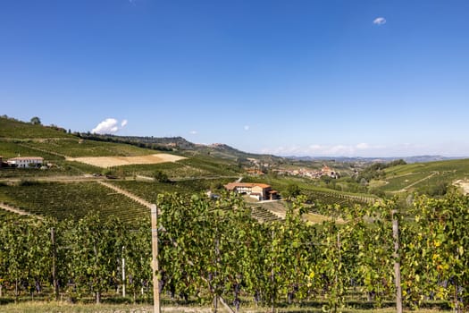 Langhe vineyards near Barolo Unesco Site, Piedmont, Italy
