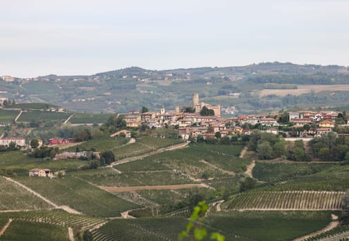 Langhe vineyards near Serralunga d'Alba. Unesco Site, Piedmont, Italy