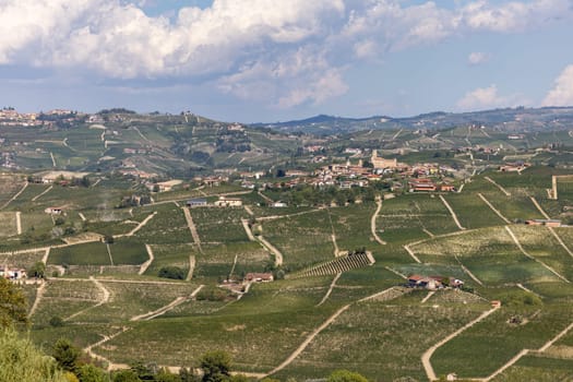 View of Langhe vineyards from La Morra,  UNESCO Site, Piedmont, Italy