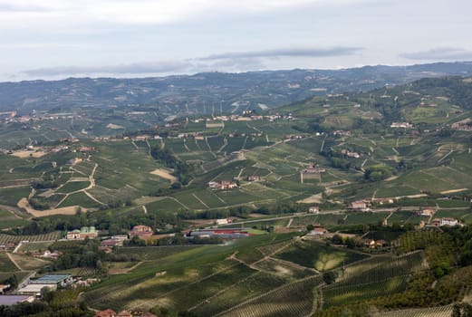Langhe vineyards near Barolo and La Morra, Unesco Site, Piedmont, Italy