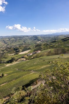 View of Langhe vineyards from La Morra,  UNESCO Site, Piedmont, Italy