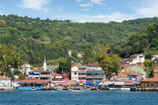 Istanbul, Turkey - August 29 2022: View from Bosphorus strait of the green mountains of the Europian side, with docked boats, traditional houses and dense trees in a summer day