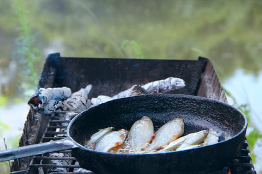 Fish is fried in frying pan by the river. Cooking fresh fish catch. Successful fishing. Delicious fish dish fried over the fire. Dish from fried fish cooked on fire. Pleasant rest by the river