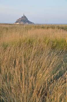 Mont Saint Michel and salt marshes