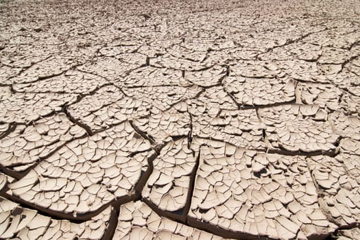 Detail of the cracked ground - dry season