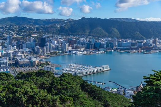 Wellington, New Zealand - 12 May 2023: View over the capital Wellington from Mount Victoria, North Island, New Zealand