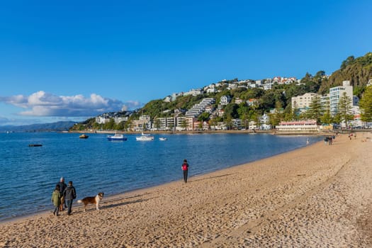 Wellington, New Zealand - 12 May 2023: Oriental Bay beach, Pacific ocean waterfront and cityscape of Wellington, capital of New Zealand.