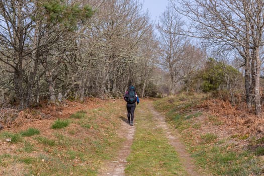 Navarre, Spain, 04 December, 2022: Pilgrim walk along the Camino De Santiago, the Way of St. James pilgrimage route, Navarre, Spain.